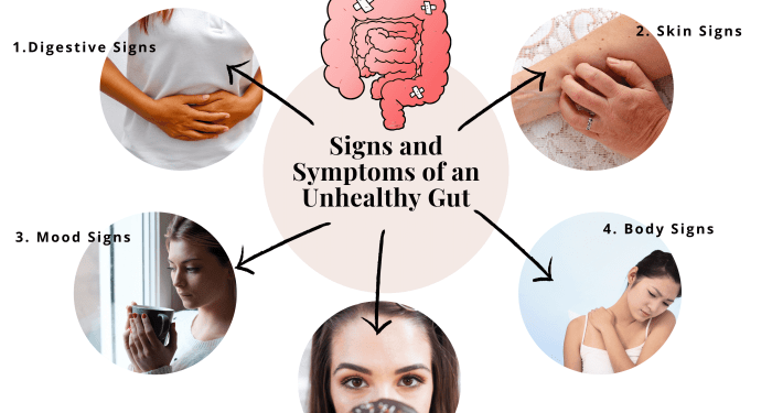 How To Improve Gut Health Naturally: The Ultimate Guide | Prana Thrive