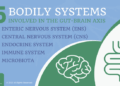 Restore Your Brain Health | Tri-Cities Functional Medicine