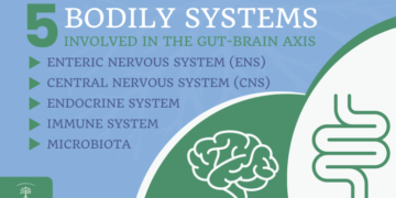 Restore Your Brain Health | Tri-Cities Functional Medicine