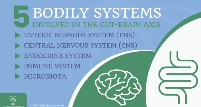 Restore Your Brain Health | Tri-Cities Functional Medicine